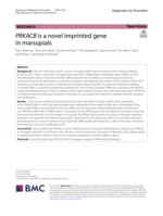 PRKACB is a novel imprinted gene in marsupials