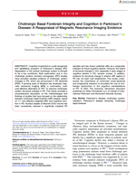 Cholinergic Basal Forebrain Integrity and Cognition in Parkinson's Disease: A Reappraisal of Magnetic Resonance Imaging Evidence