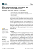 Azole Combinations and Multi-Targeting Drugs That Synergistically Inhibit Candidozyma auris