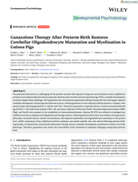 Ganaxolone Therapy After Preterm Birth Restores Cerebellar Oligodendrocyte Maturation and Myelination in Guinea Pigs