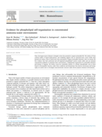 Evidence for phospholipid self-organisation in concentrated ammonia-water environments