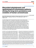 Discordant phylodynamic and spatiotemporal transmission patterns driving the long-term persistence and evolution of human coronaviruses