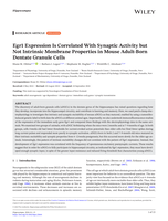 Egr1 Expression Is Correlated With Synaptic Activity but Not Intrinsic Membrane Properties in Mouse Adult‐Born Dentate Granule Cells