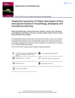 Integrative taxonomy of Tethya : description of four new species based on morphology, phylogeny and microbiome diversity