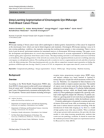 Deep Learning Segmentation of Chromogenic Dye RNAscope From Breast Cancer Tissue