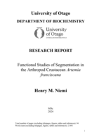 Functional Studies of Segmentation in the Arthropod Crustacean Artemia franciscana