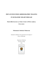 Advanced echocardiographic imaging in ischaemic heart disease. From histological structure to myocardial function