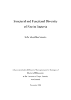 Structural and functional diversity of Rho in bacteria