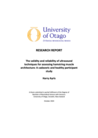 The validity and reliability of ultrasound techniques for assessing hamstring muscle architecture: A cadaveric and healthy participant study