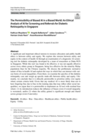 The Permissibility of Biased AI in a Biased World: An Ethical Analysis of AI for Screening and Referrals for Diabetic Retinopathy in Singapore