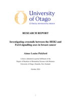 Investigating crosstalk between the HER2 and Fn14 signalling axes in breast cancer