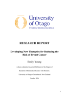 Developing New Therapies for Reducing the Risk of Breast Cancer