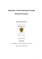 Regulation of gene expression through bacterial promoters