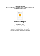 Therapeutic Functions of tDodSNO: Nitric Oxide Donor Activity and CaMKII Protein Interaction