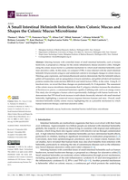 A Small Intestinal Helminth Infection Alters Colonic Mucus and Shapes the Colonic Mucus Microbiome