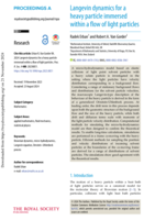 Langevin dynamics for a heavy particle immersed within a flow of light particles