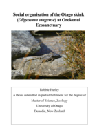 Social organisation of the Otago skink (Oligosoma otagense) at Orokonui Ecosanctuary