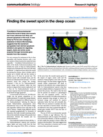 Finding the sweet spot in the deep ocean