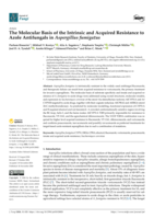 The Molecular Basis of the Intrinsic and Acquired Resistance to Azole Antifungals in Aspergillus fumigatus