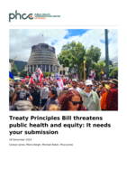 Treaty Principles Bill threatens public health and equity: It needs your submission