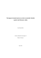 The impacts of marine heatwaves on the two asteroids: Patiriella regularis and Odontaster validus