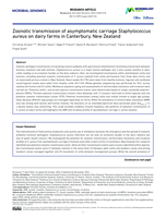 Zoonotic transmission of asymptomatic carriage Staphylococcus aureus on dairy farms in Canterbury, New Zealand