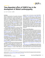 Time-dependent effect of FKBP12 loss in the development of dilated cardiomyopathy