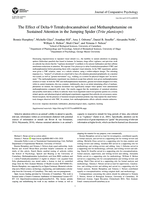 The effect of delta-9 tetrahydrocannabinol and methamphetamine on sustained attention in the jumping spider (Trite planiceps)
