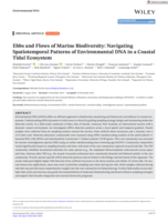 Ebbs and Flows of Marine Biodiversity: Navigating Spatiotemporal Patterns of Environmental DNA in a Coastal Tidal Ecosystem