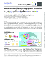 Genome-wide identification of bacterial genes contributing to nucleus-forming jumbo phage infection