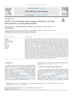 COVID-19 may enduringly Impact cognitive performance and brain haemodynamics in undergraduate students