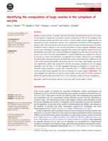 Identifying the composition of large vesicles in the cytoplasm of oocytes