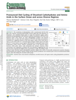 Pronounced Diel Cycling of Dissolved Carbohydrates and Amino Acids in the Surface Ocean and across Diverse Regimes