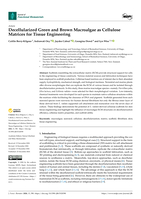 Decellularized Green and Brown Macroalgae as Cellulose Matrices for Tissue Engineering