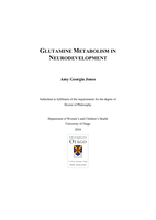 Glutamine metabolism in neurodevelopment
