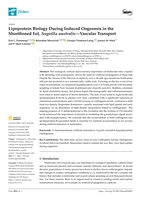 Lipoprotein Biology During Induced Oogenesis in the Shortfinned Eel, Anguilla australis—Vascular Transport