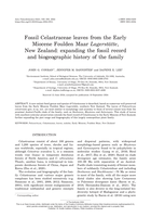 Fossil Celastraceae leaves from the Early Miocene Foulden Maar Lagerstätte, New Zealand: expanding the fossil record and biogeographic history of the family