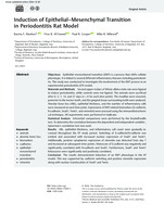 Induction of Epithelial-Mesenchymal Transition in Periodontitis Rat Model