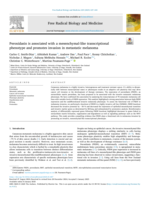 Peroxidasin is associated with a mesenchymal-like transcriptional phenotype and promotes invasion in metastatic melanoma