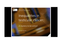 Inequalities in testicular cancer: a mystery to be solved