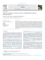 Architects of infection: A structural overview of SARS-related coronavirus spike glycoproteins