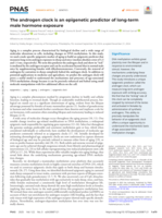 The androgen clock is an epigenetic predictor of long-term male hormone exposure