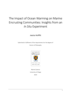 The impact of ocean warming on marine encrusting communities: Insights from an in situ experiment