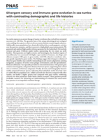 Divergent sensory and immune gene evolution in sea turtles with contrasting demographic and life histories
