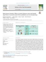 Multi-stressor dynamics: Effects of marine heatwave stress and harmful algal blooms on juvenile mussel (Perna canaliculus) survival and physiology