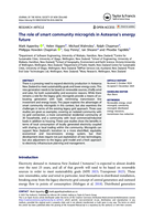 The role of smart community microgrids in Aotearoa’s energy future