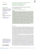 Size, spines, and primes: the drivers of collar spine numbers among echinostome trematodes