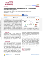 Exploring the Ascorbate Requirement of the 2-Oxoglutarate-Dependent Dioxygenases
