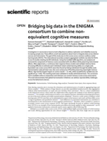 Bridging big data in the ENIGMA consortium to combine non-equivalent cognitive measures