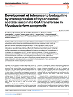 Development of tolerance to bedaquiline by overexpression of trypanosomal acetate: succinate CoA transferase in Mycobacterium smegmatis
